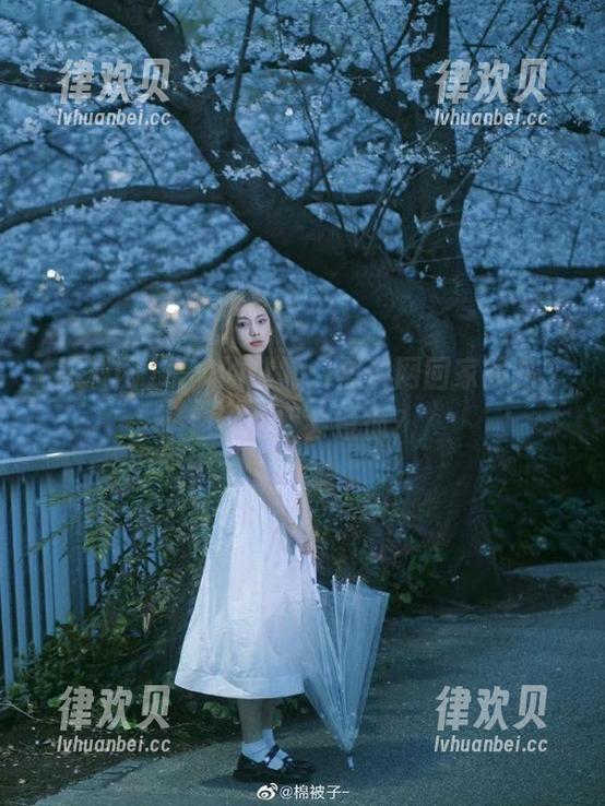 永久的迷雾：黑料网回家线路，你以为我会遵循？